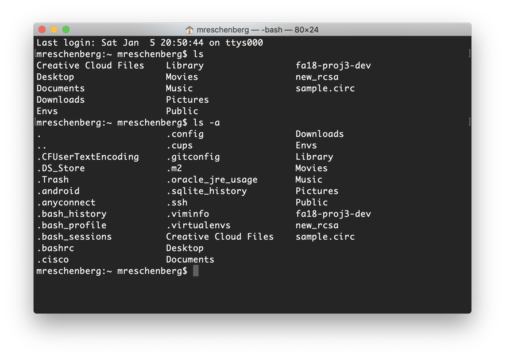 ls example
